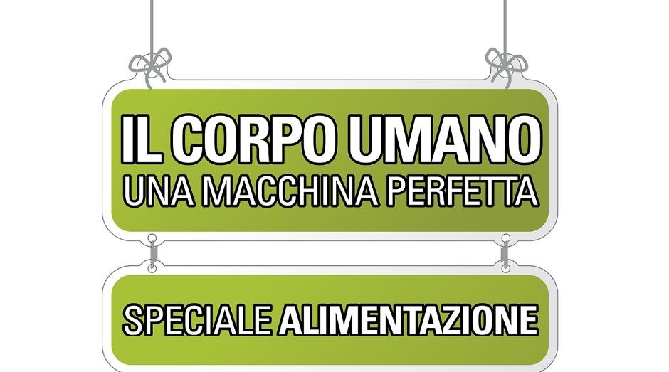 Il corpo umano940x523