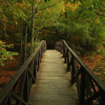 ponte